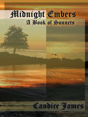 cover image of Midnight Embers